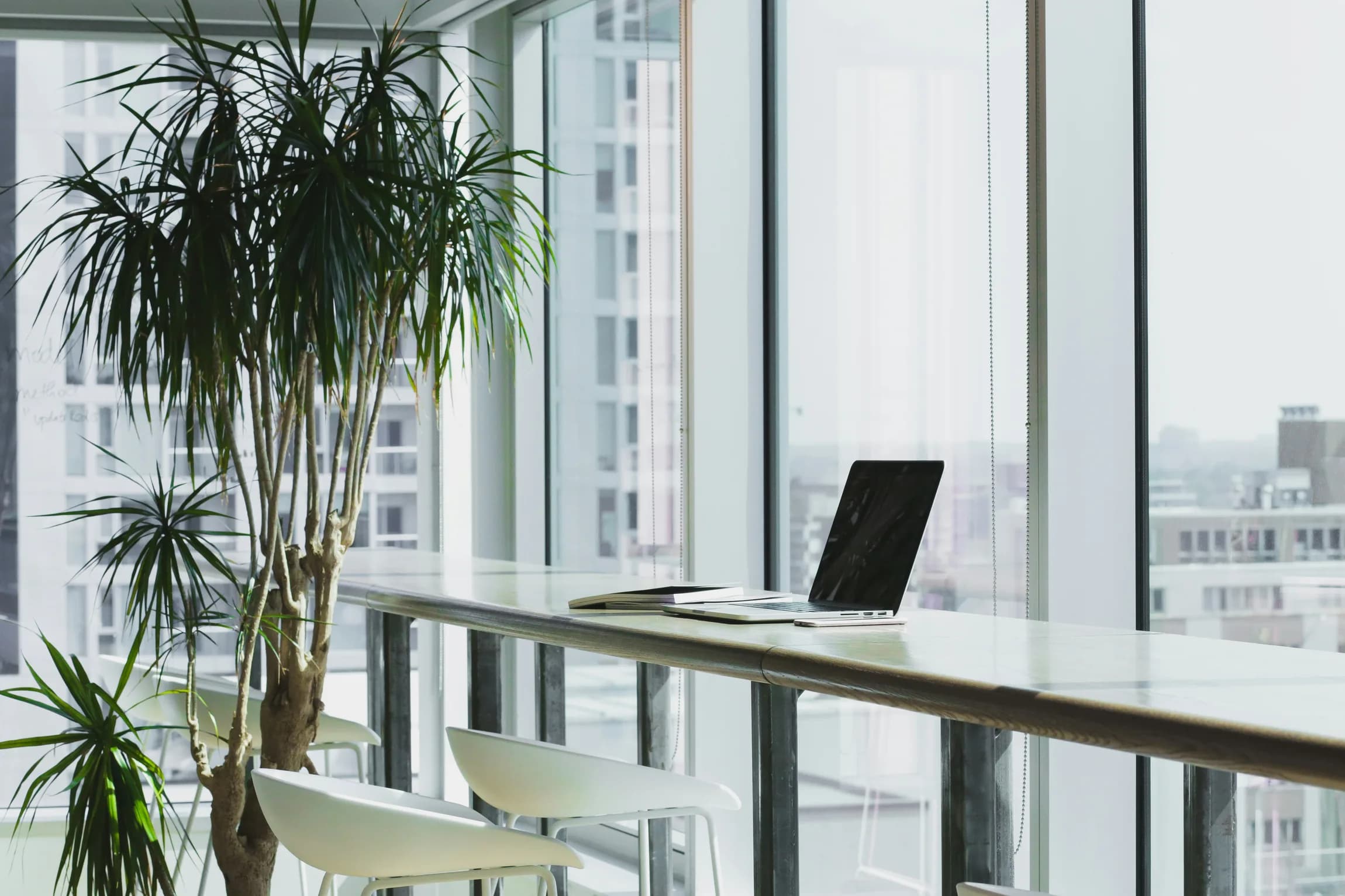 SYNK workspace